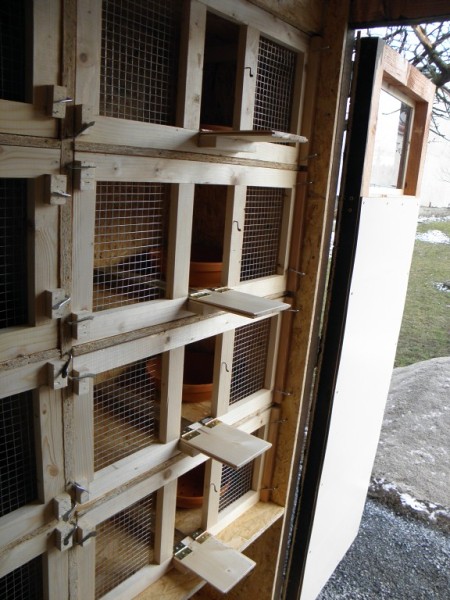 Stavba komorového holubníku s voliérou
